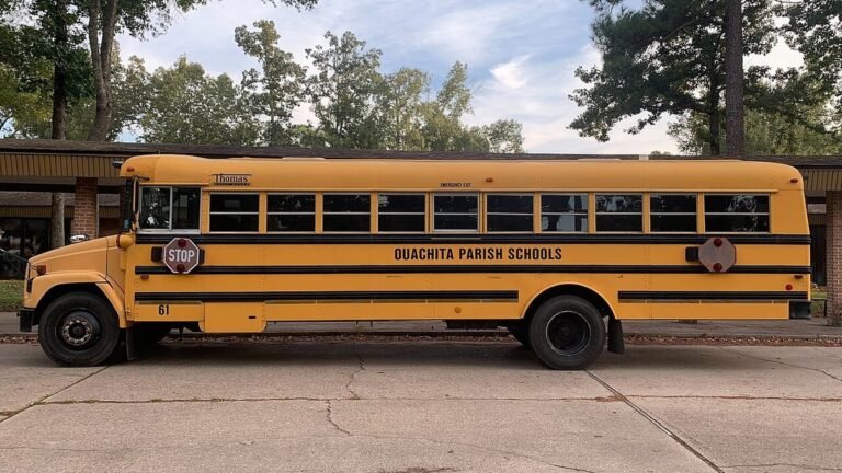 School Bus Driver Jobs UAE – High Salary – Apply For Latest Vacancies