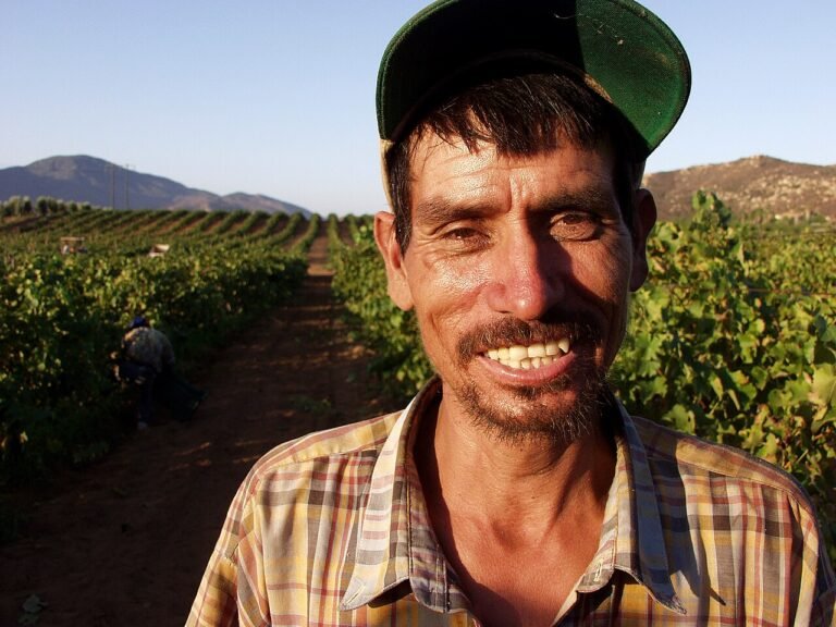 Farm Worker Jobs in Portugal – High Salary – Apply for Latest Vacancies