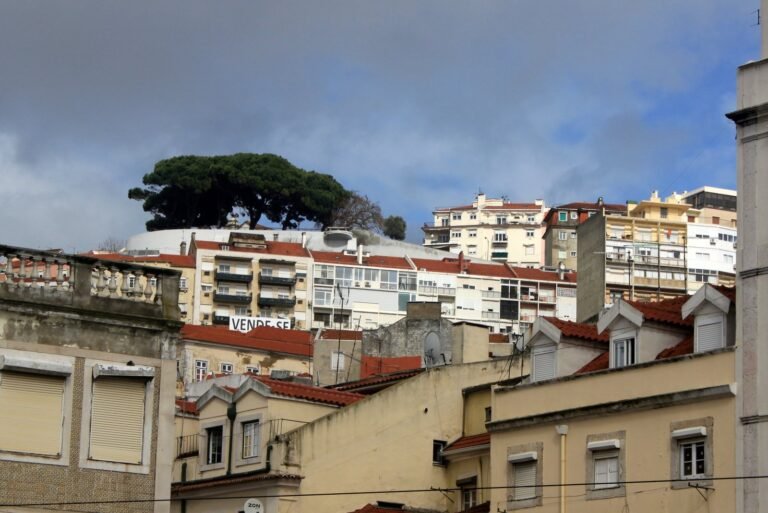 Explore Job Opportunities in Portugal